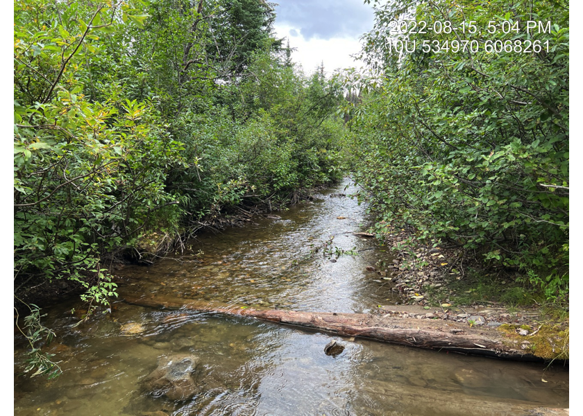 Upstream view at end of survey, at location of PSCIS crossing 198321.