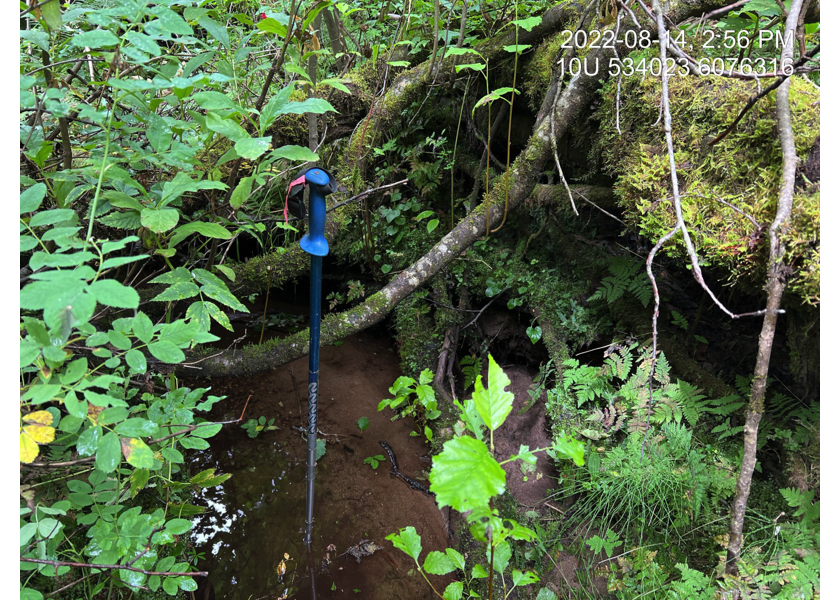 Typical habitat downstream of PSCIS crossing 6745.