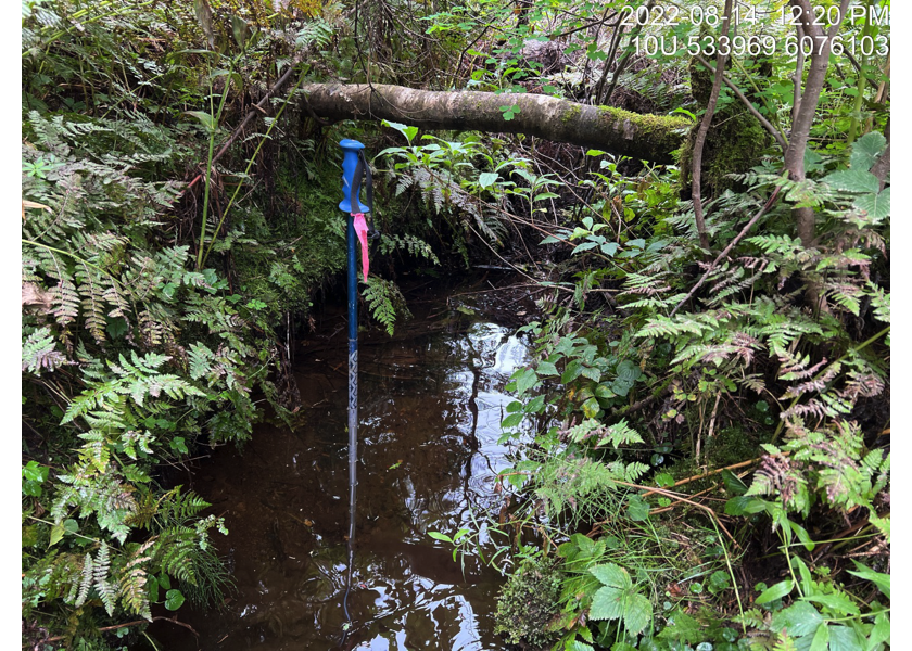 Typical habitat upstream of PSCIS crossing 6745.