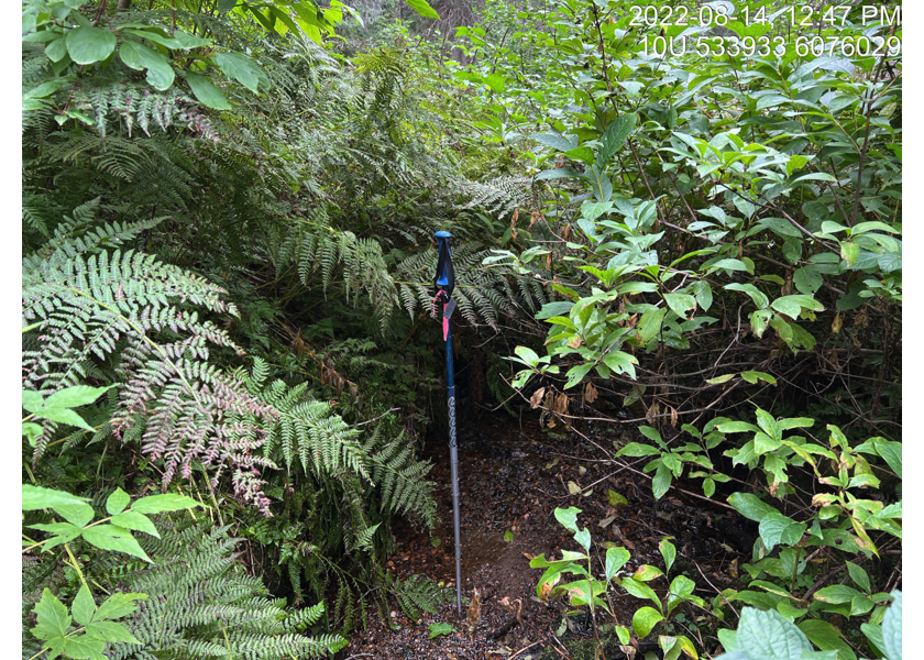 Typical habitat upstream of PSCIS crossing 6745.