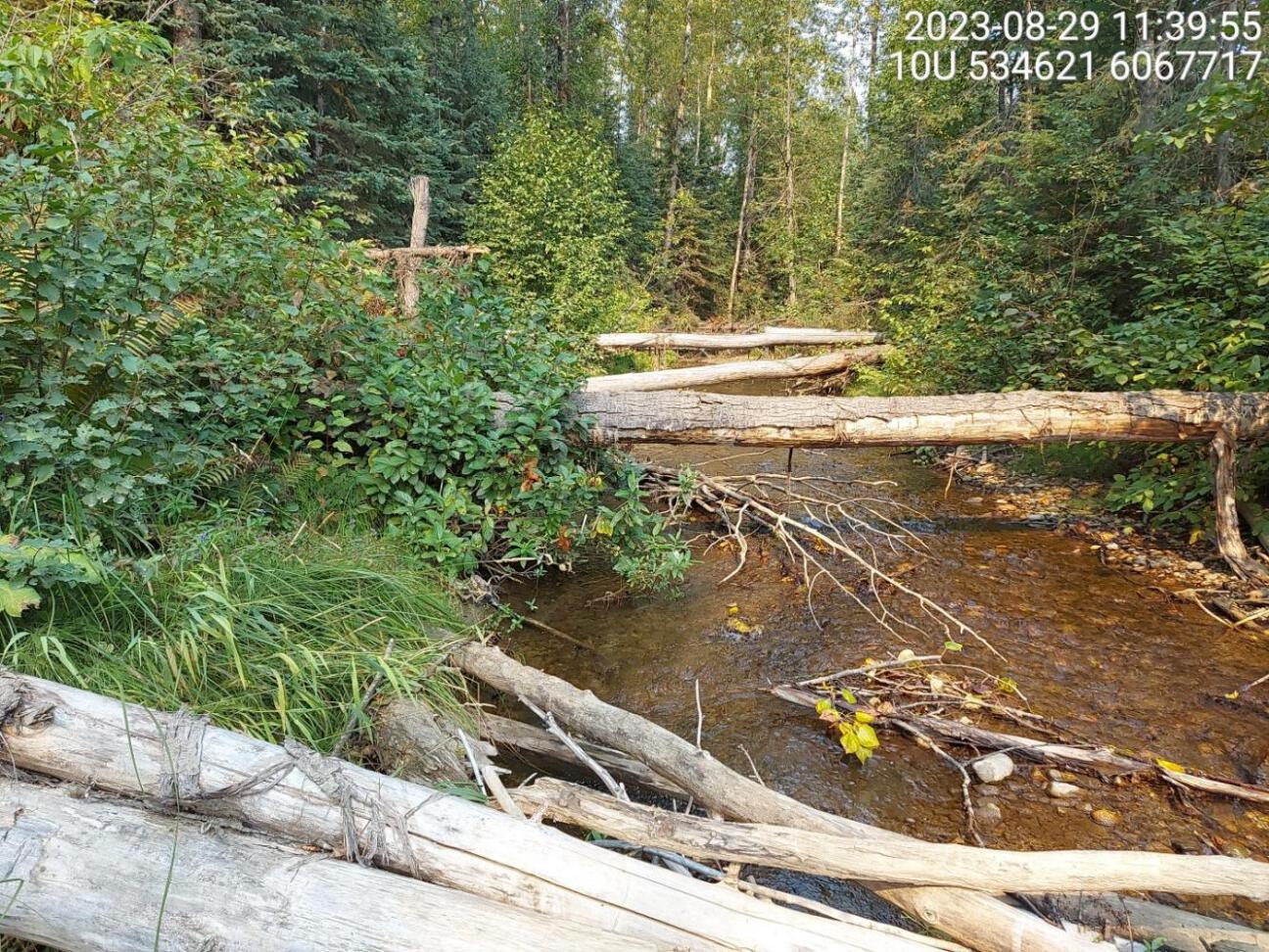 Habitat electrofished downstream of PSCIS crossing125261.