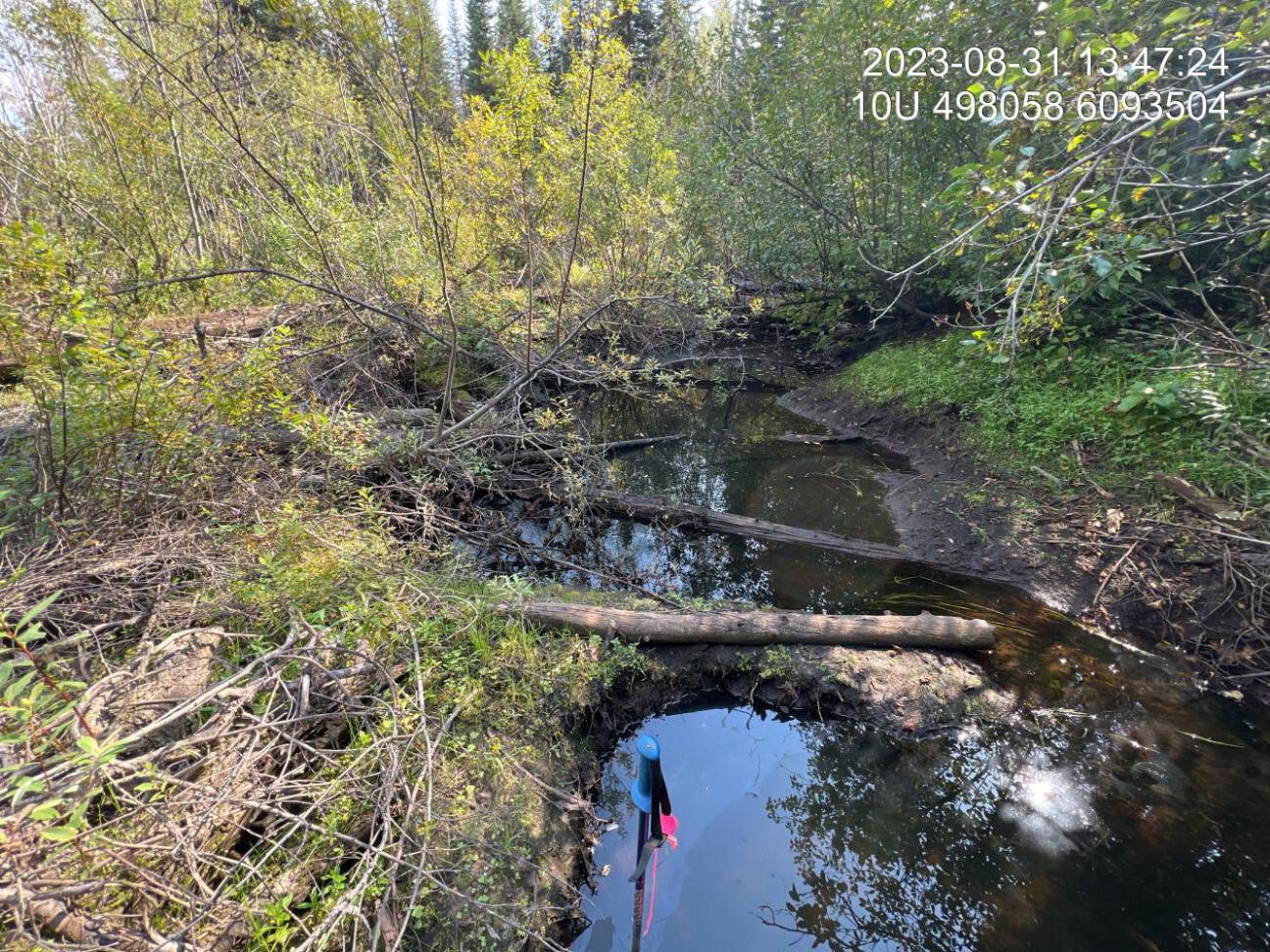 Typical habitat upstream of PSCIS crossing 198714.