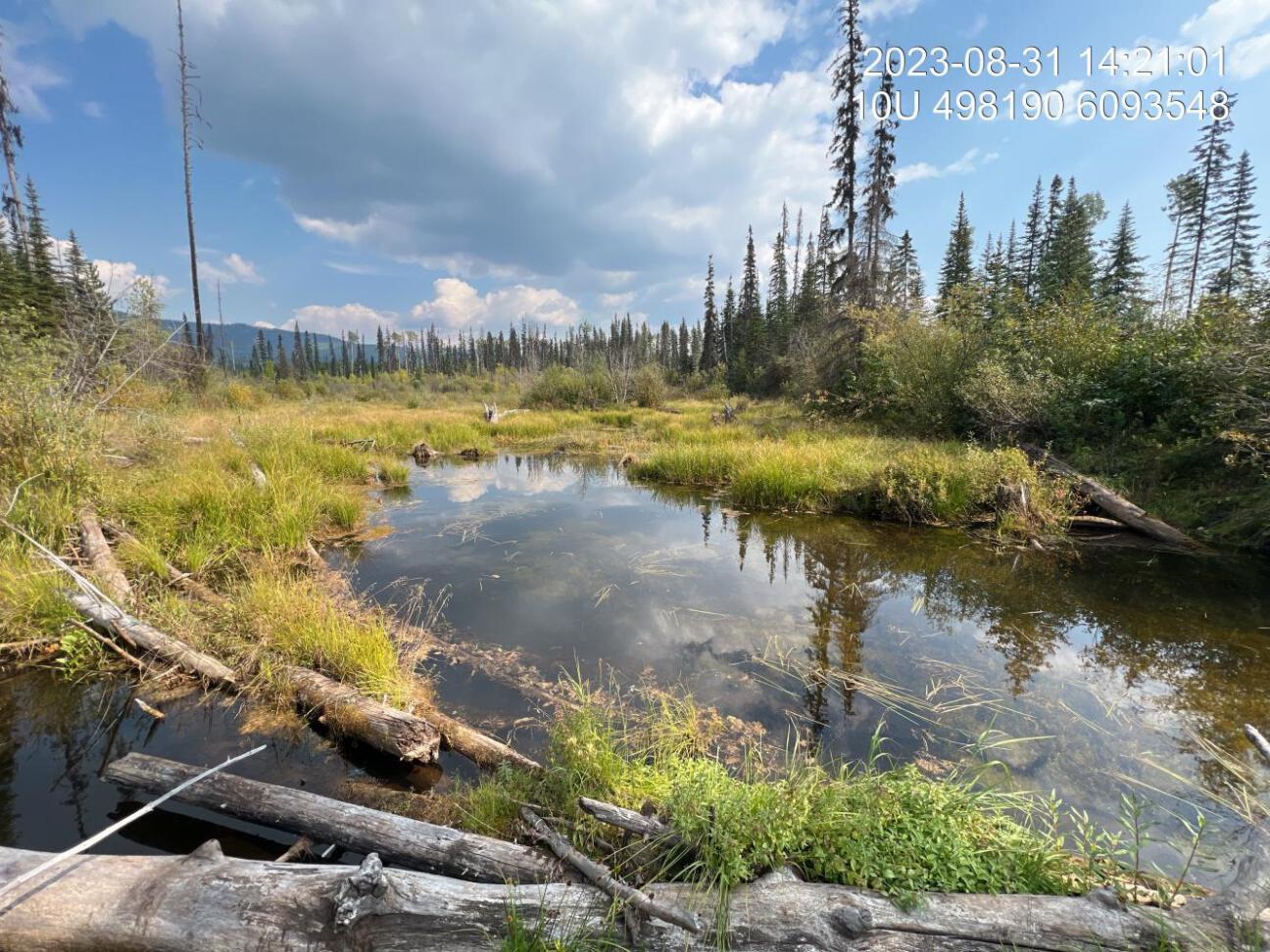 Typical habitat upstream of PSCIS crossing 198714.