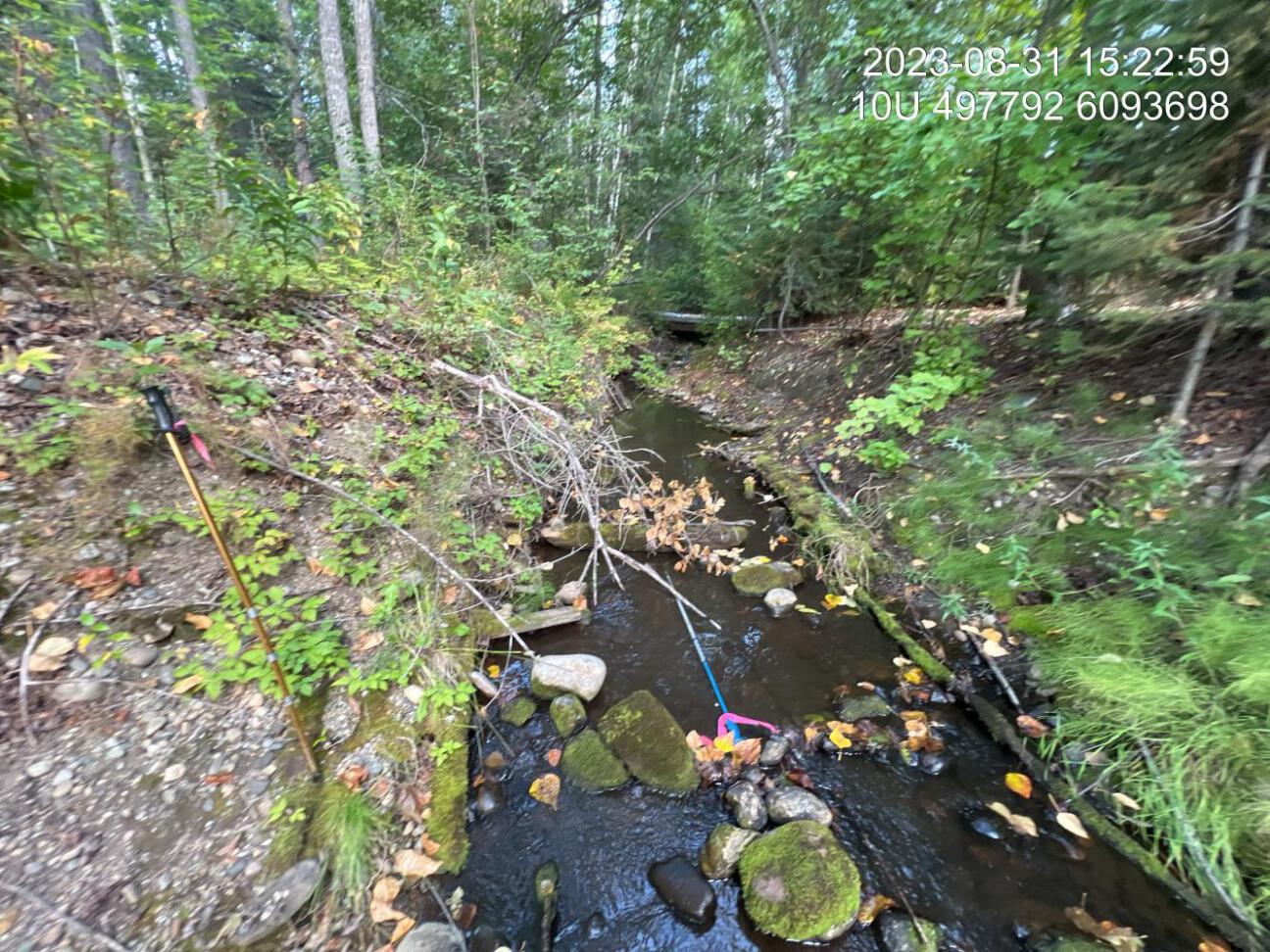 Typical habitat downstream of PSCIS crossing 198714.