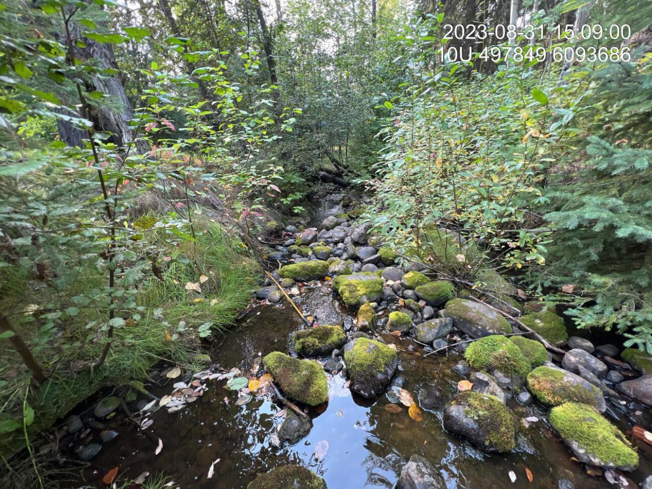 Typical habitat downstream of PSCIS crossing 198714.