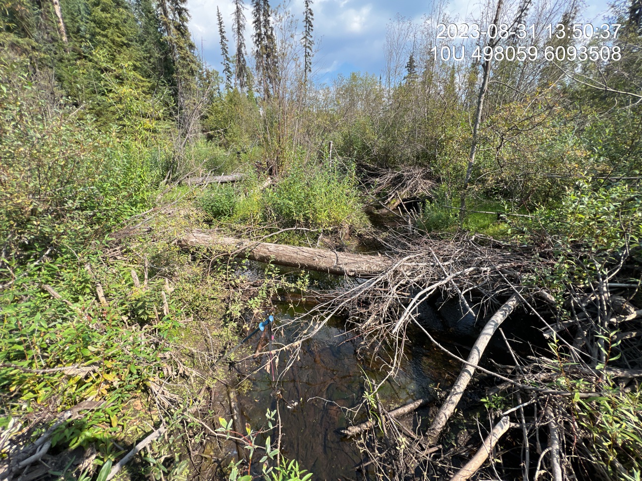 Typical habitat upstream of PSCIS crossing 198714.