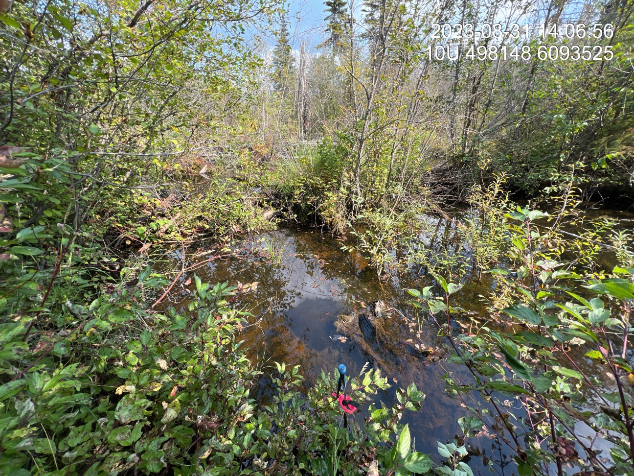 Typical habitat upstream of PSCIS crossing 198714.