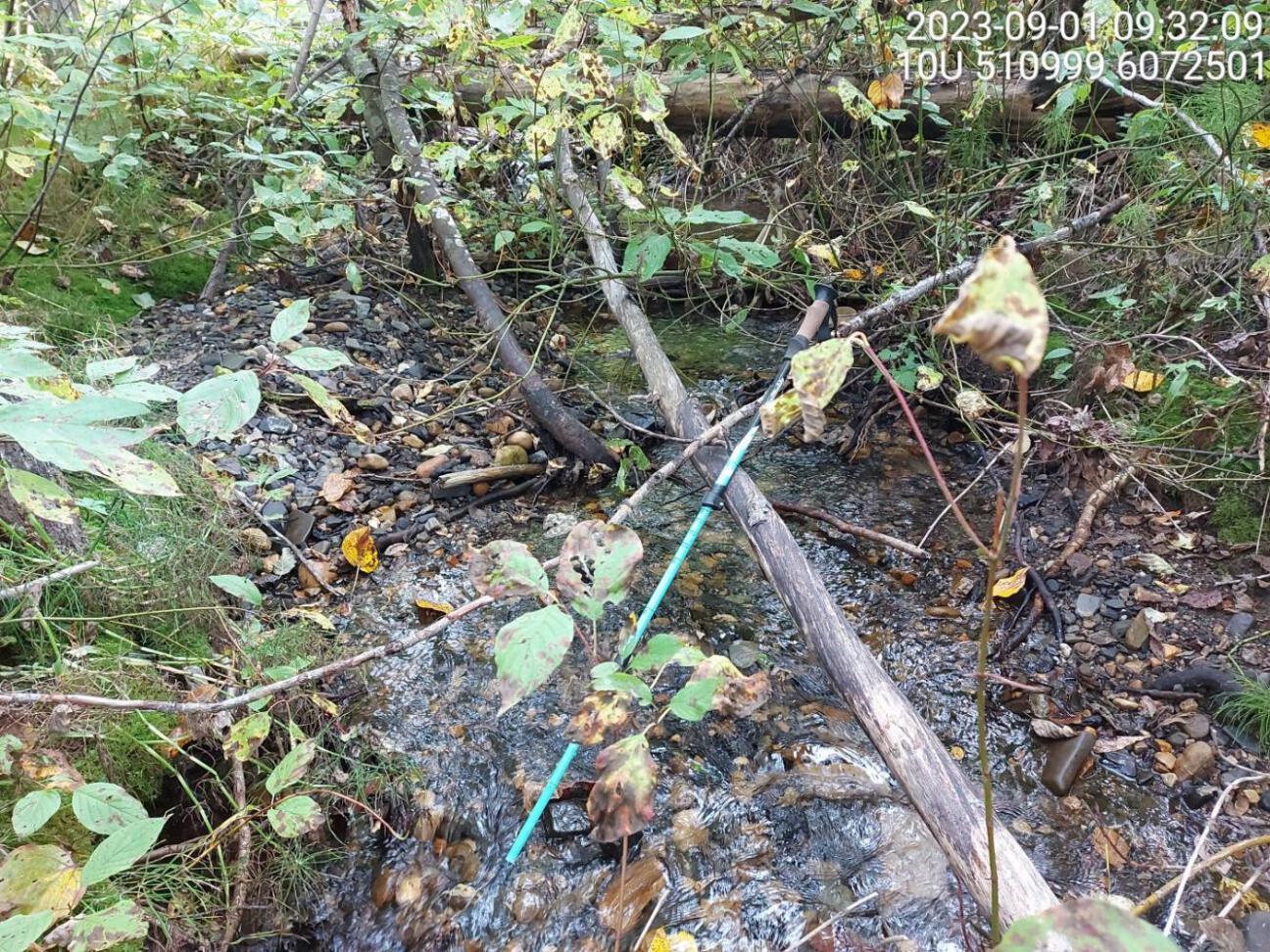 Typical habitat upstream of PSCIS crossing 198687.