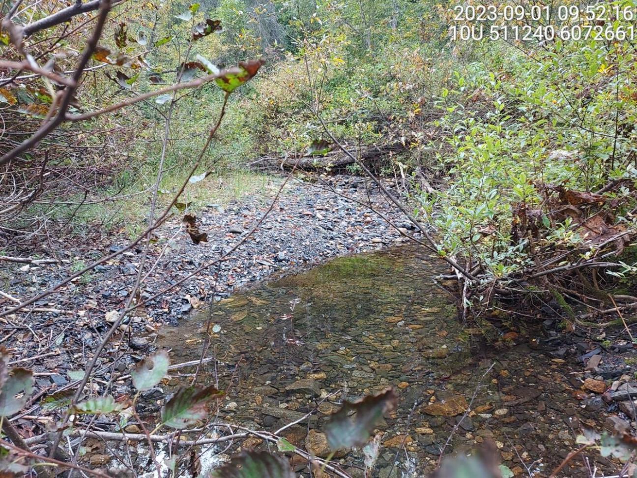 Typical habitat upstream of PSCIS crossing 198687.