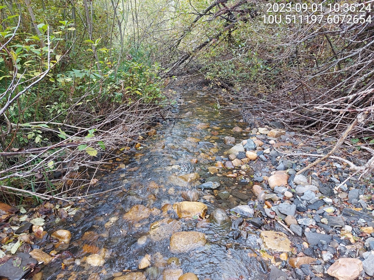 Typical habitat upstream of PSCIS crossing 198687.