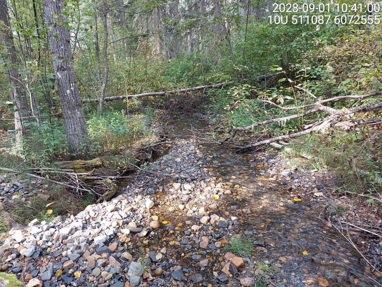 Typical habitat upstream of PSCIS crossing 198687.