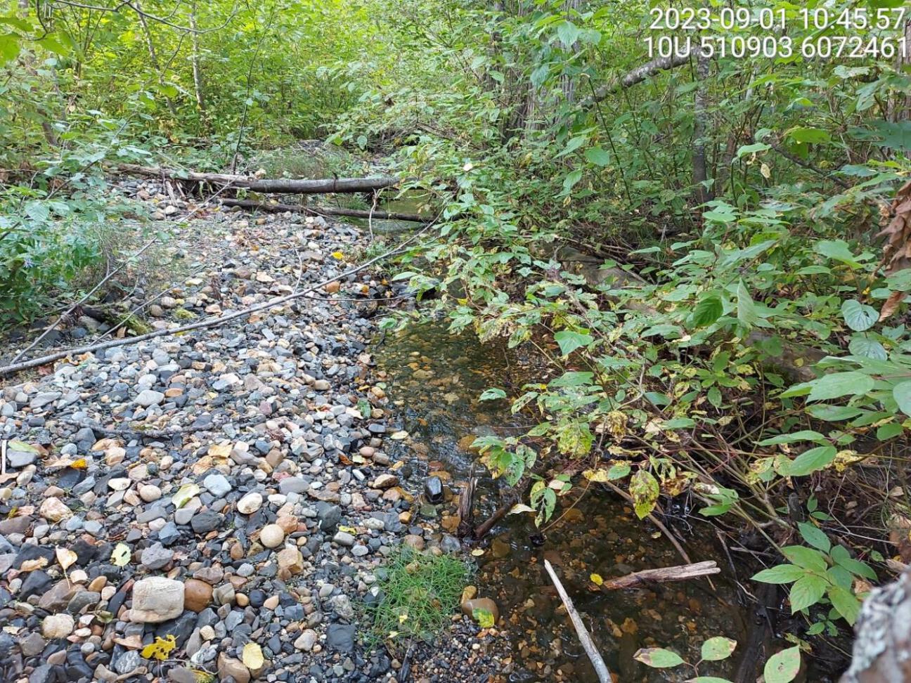 Typical habitat downstream of PSCIS crossing 198687.