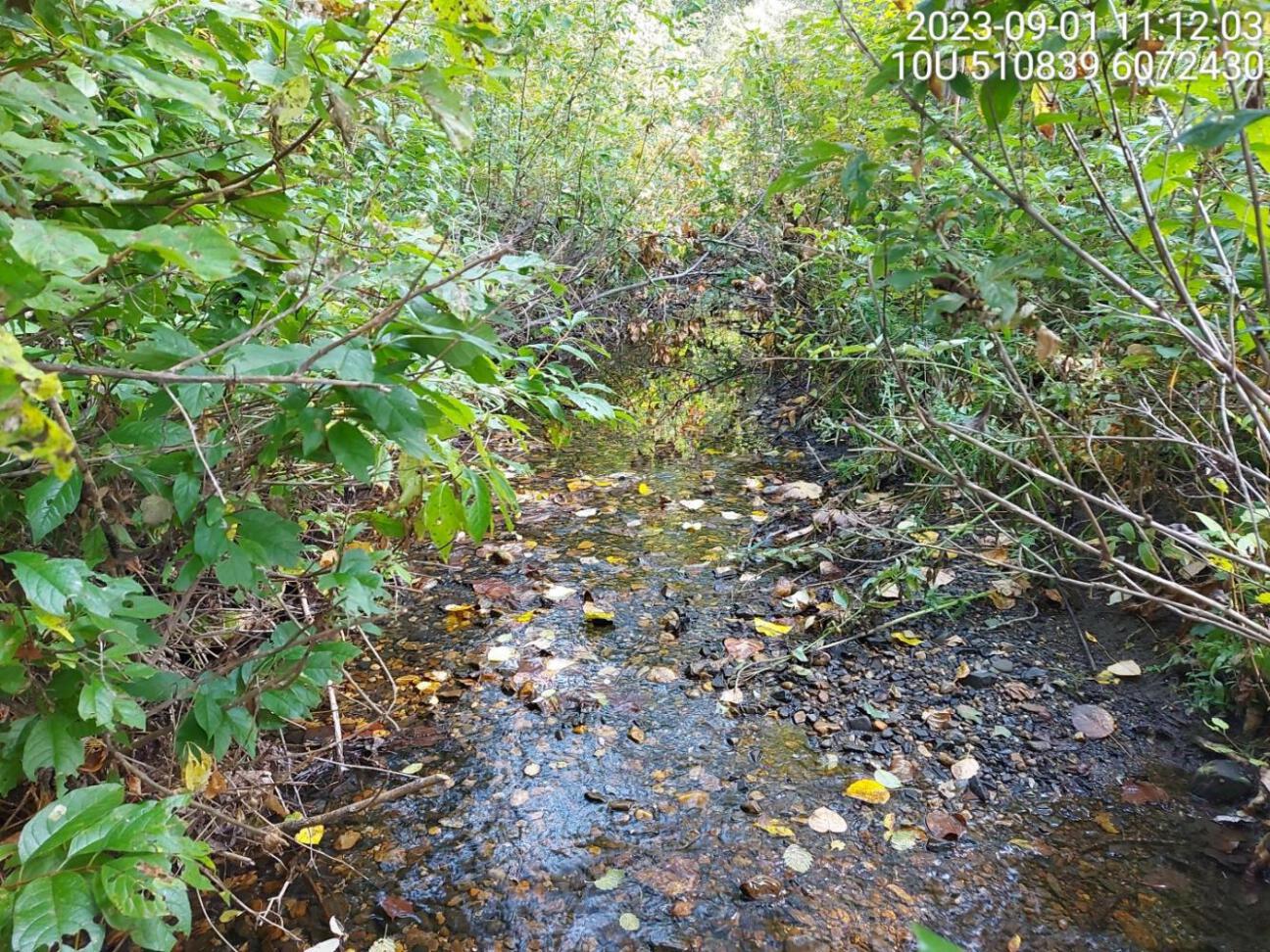 Typical habitat downstream of PSCIS crossing 198687.