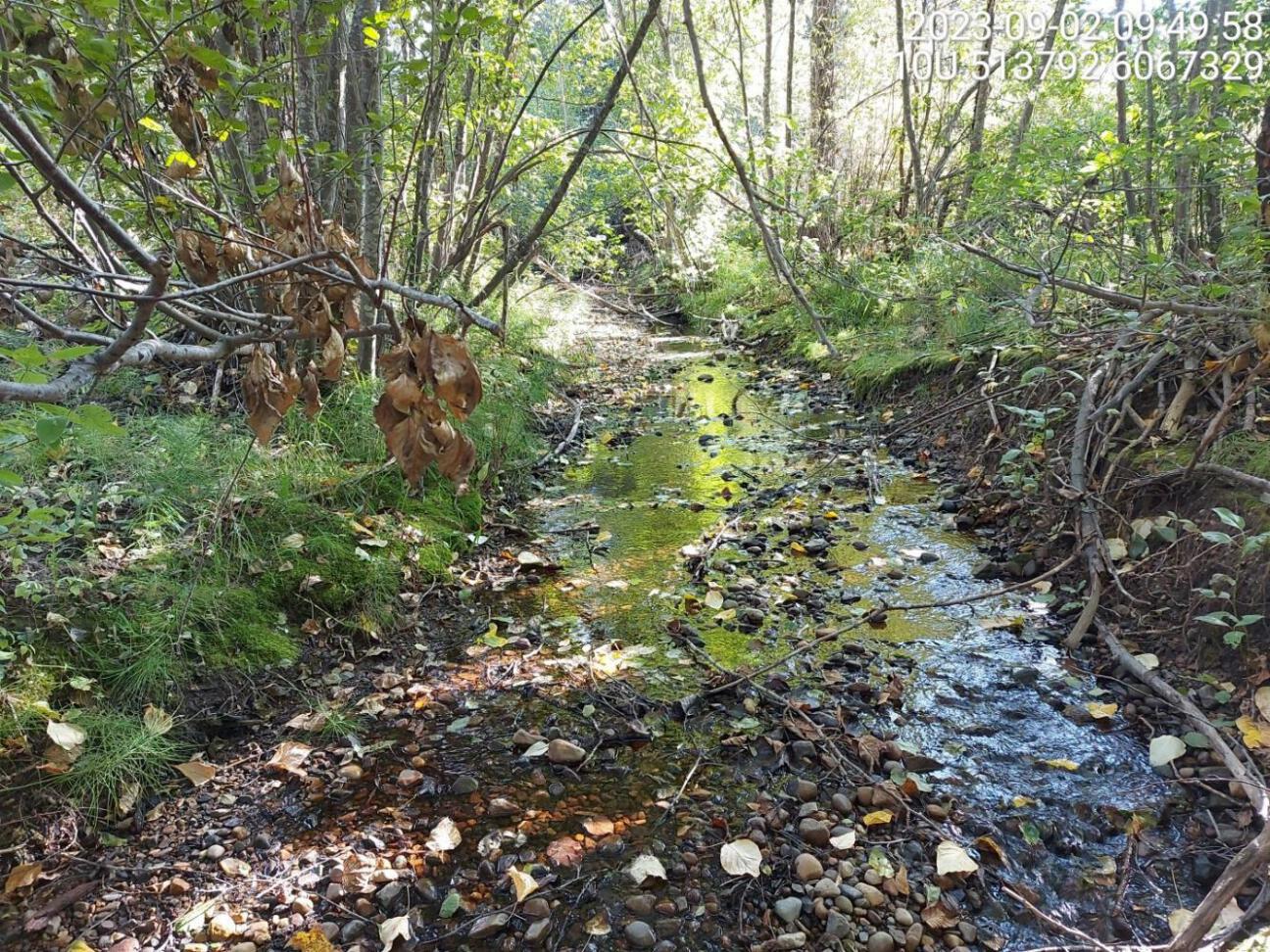 Typical habitat upstream of PSCIS crossing 198694.