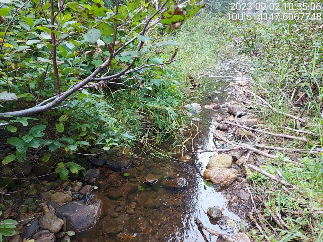 Typical habitat upstream of PSCIS crossing 198694.