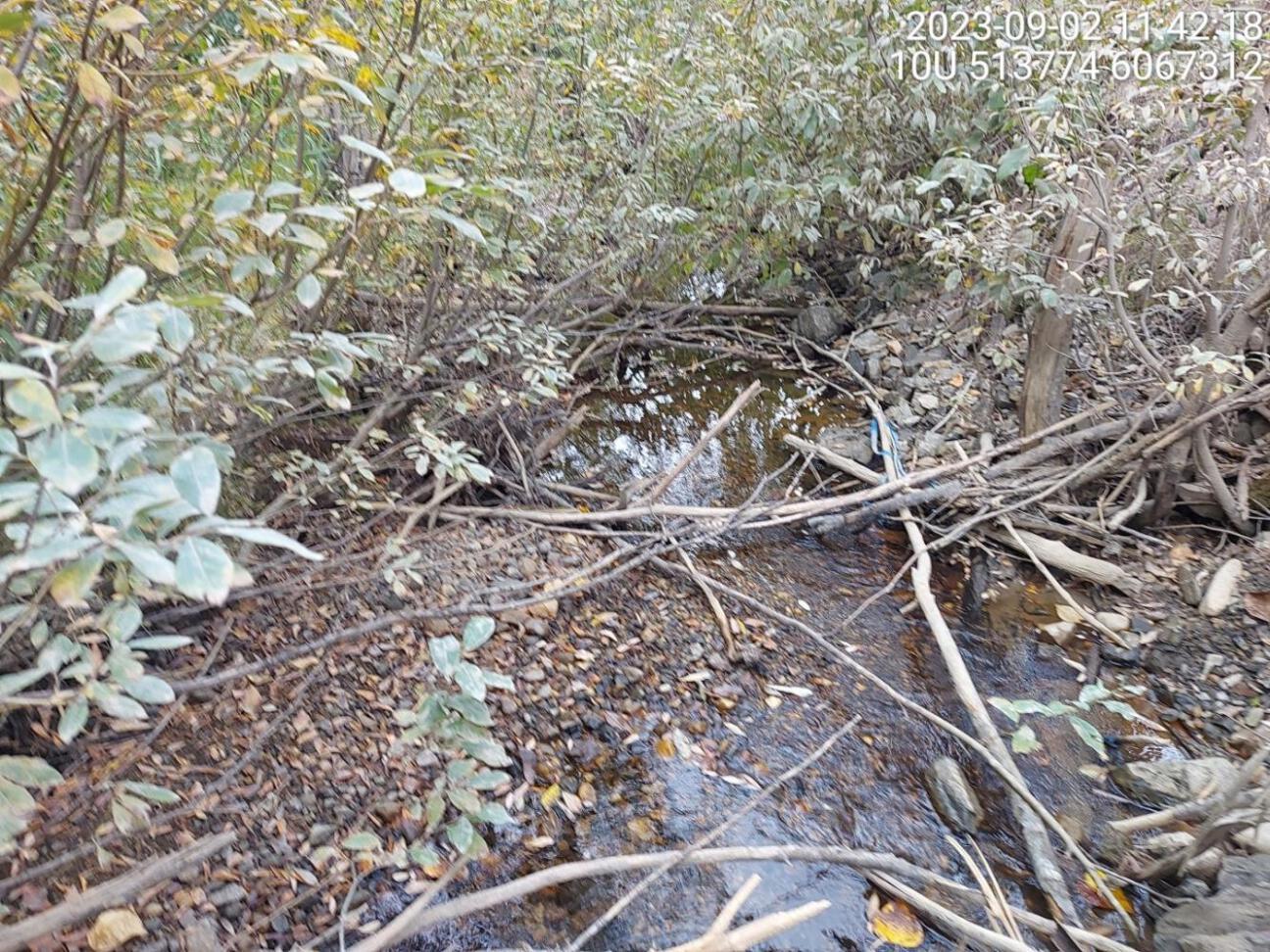 Typical habitat upstream of PSCIS crossing 198723.