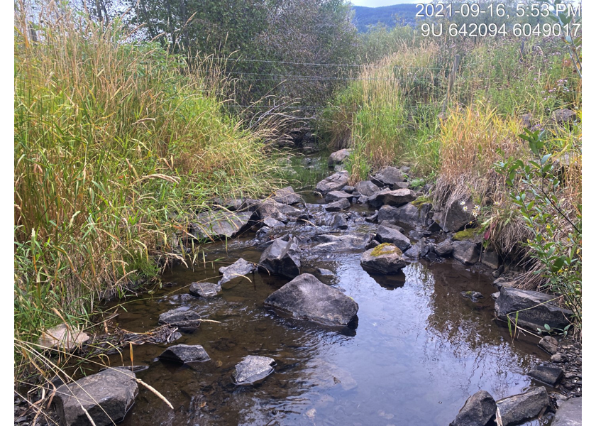 Habitat immediately upstream of PSCIS crossing 123376.