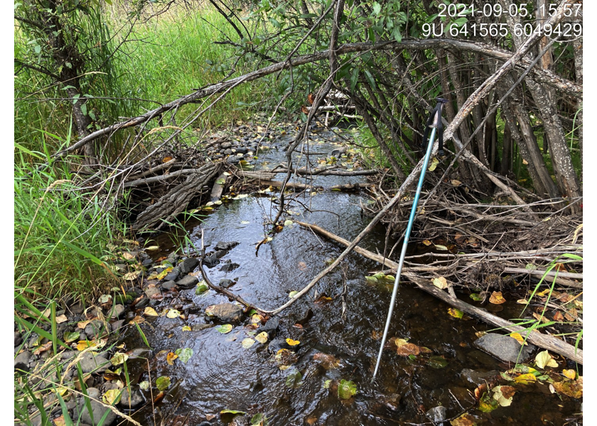 Habitat downstream of PSCIS crossing 123377.