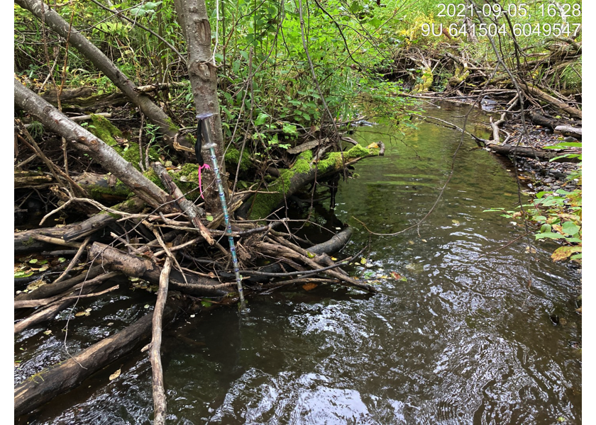 Habitat downstream of PSCIS crossing 123377.