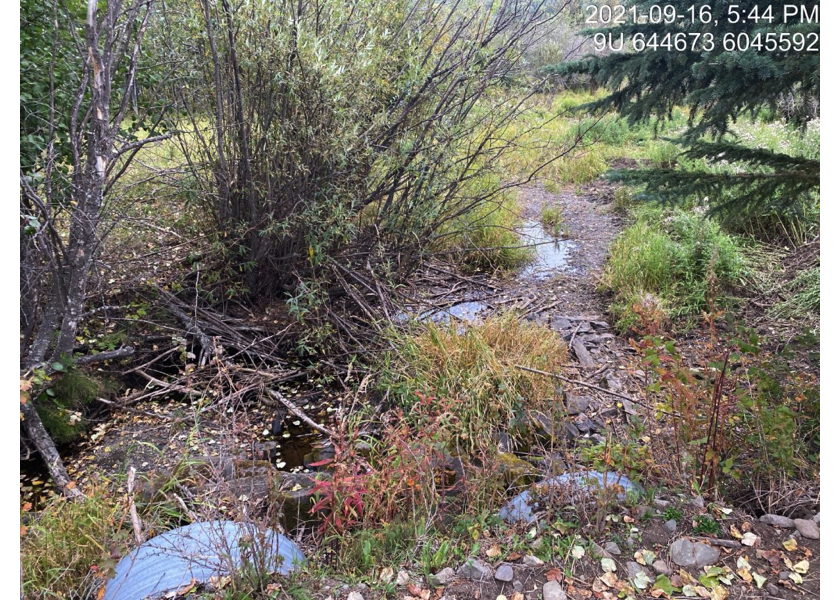 Downstream view of PSCIS crossing 123382 on McNeil Road.