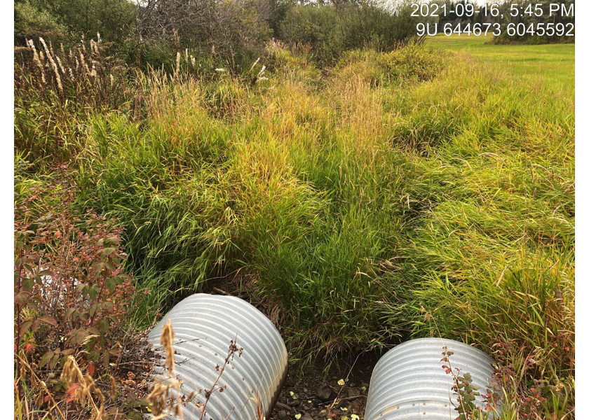 Upstream view of PSCIS crossing 123382 on McNeil Road.