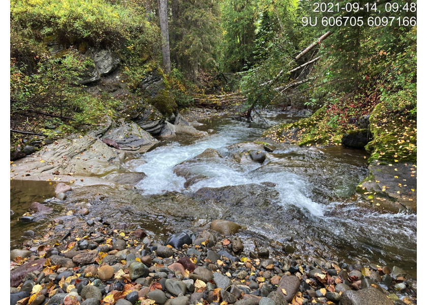 Typical habitat downstream of PSCIS crossing 123770.