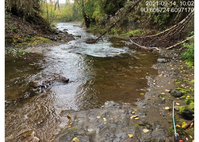 Typical habitat downstream of PSCIS crossing 123770.