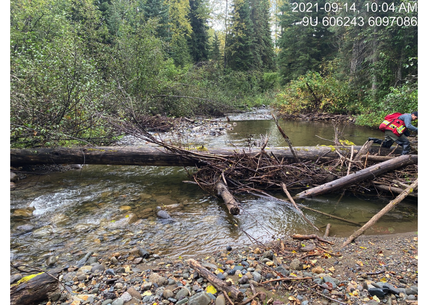 Typical habitat upstream of PSCIS crossing 123770.