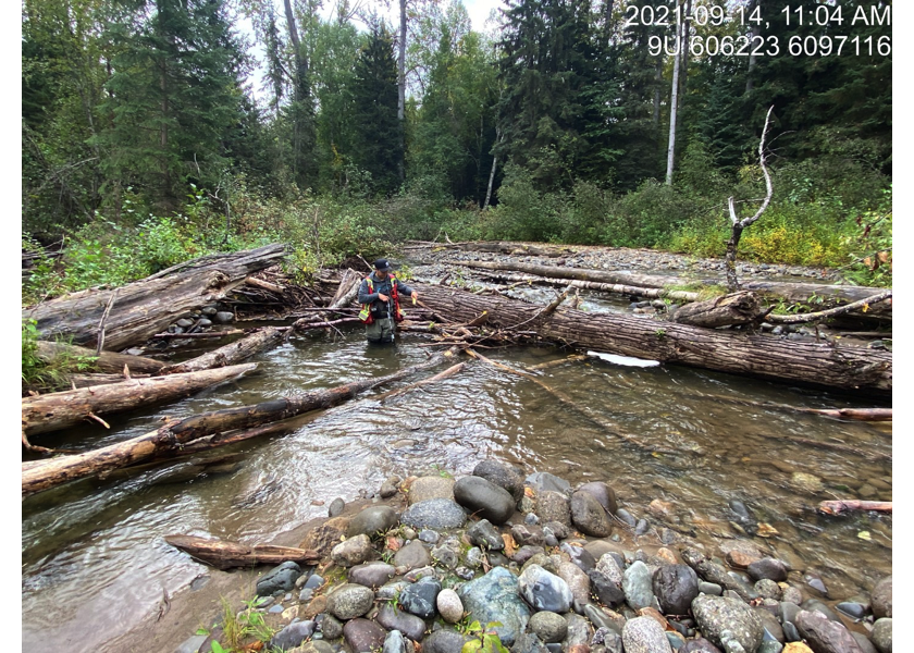 Typical habitat upstream of PSCIS crossing 123770.