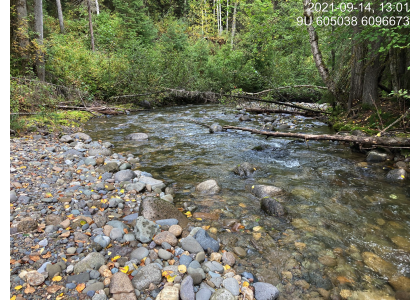 Typical habitat upstream of PSCIS crossing 123770.