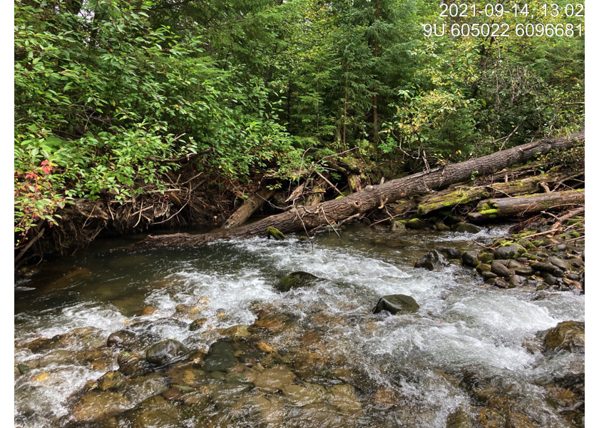 Typical habitat upstream of PSCIS crossing 123770.