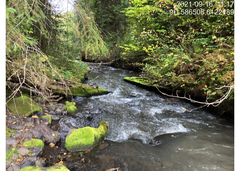 Typical habitat downstream of PSCIS crossing 124420.