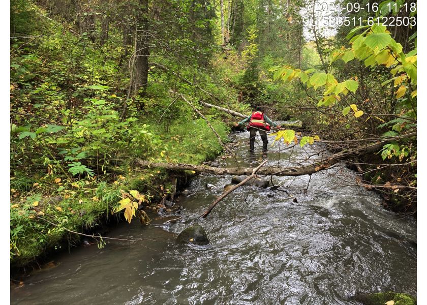 Typical habitat downstream of PSCIS crossing 124420.