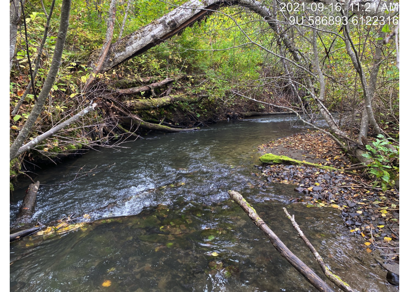 Habitat upstream of PSCIS crossing 124420.