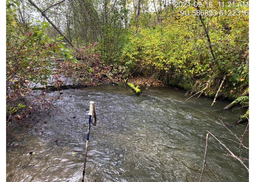 Habitat upstream of PSCIS crossing 124420.