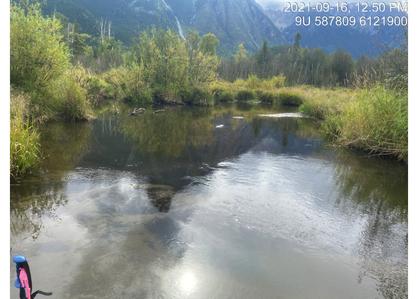 Habitat upstream of PSCIS crossing 124420.