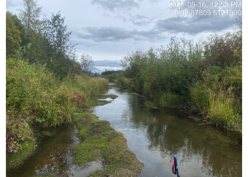 Habitat upstream of PSCIS crossing 124420 within Waterfall Creek.