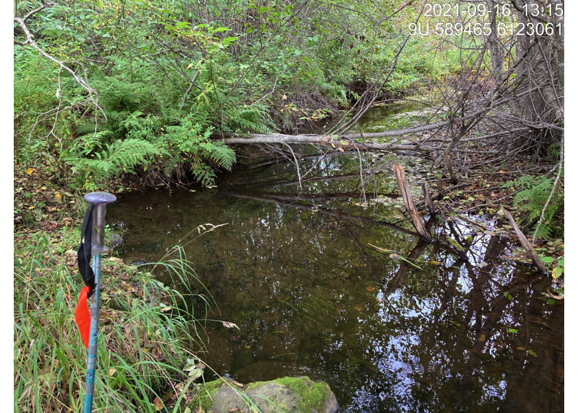 Typical habitat upstream of PSCIS crossing 124420.