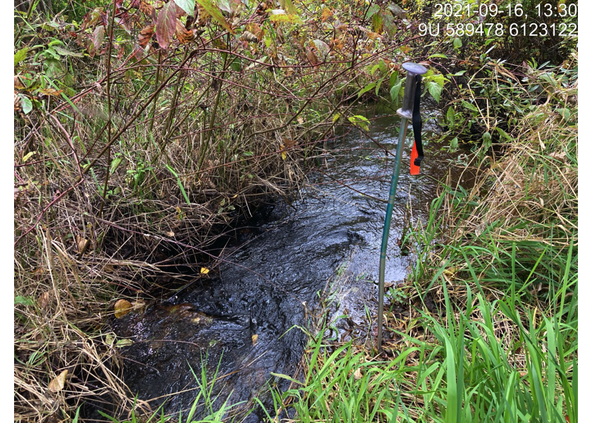 Typical habitat upstream of PSCIS crossing 124420.