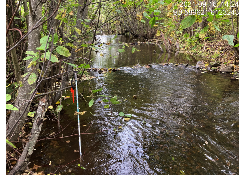 Typical habitat upstream of PSCIS crossing 124420.