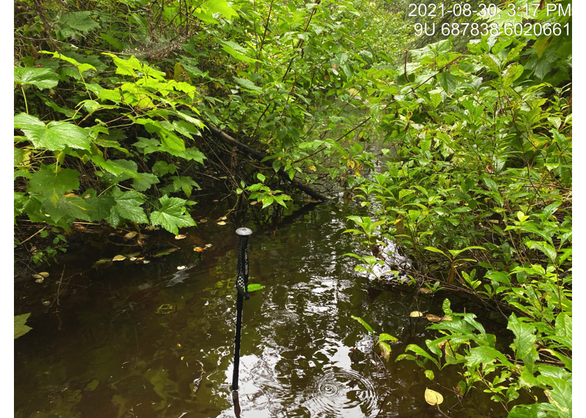 Habitat downstream of PSCIS crossing 197909.