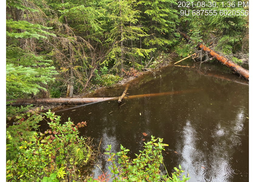 Habitat upstream of PSCIS crossing 197909.