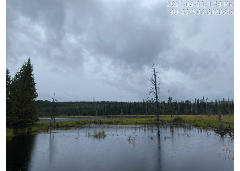 Habitat upstream of PSCIS crossing 197909.