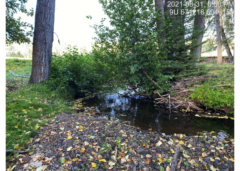 Typical habitat downstream of PSCIS crossing 197912.