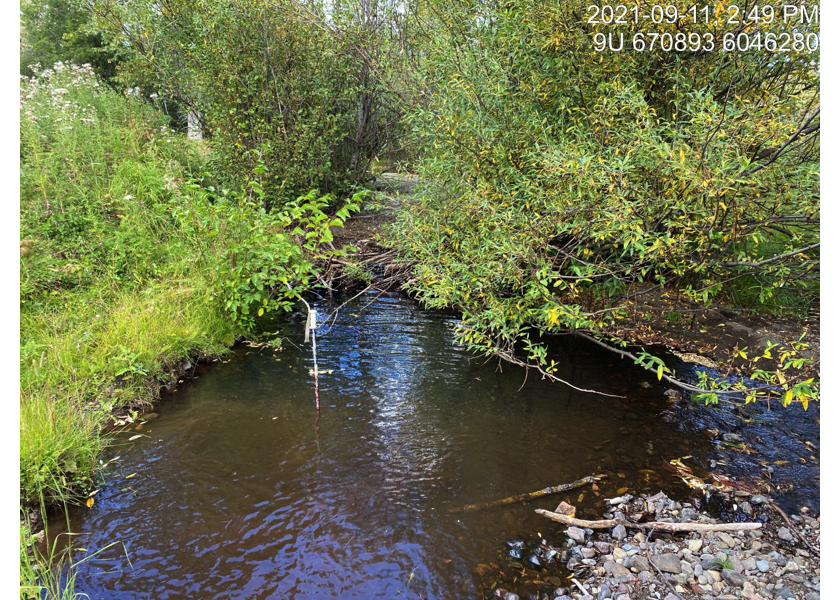 Typical habitat upstream of PSCIS crossing 197912.