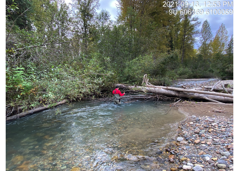 Typical habitat downstream of PSCIS crossing 197960.