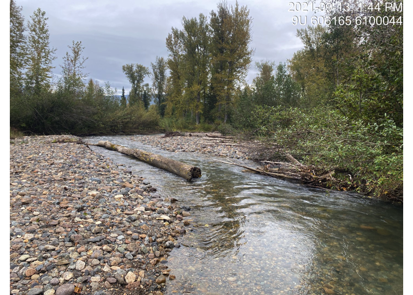 Typical habitat downstream of PSCIS crossing 197960.