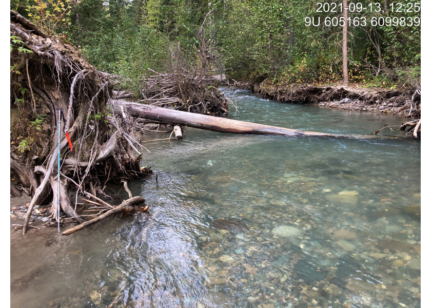 Typical habitat upstream of PSCIS crossing 197960.