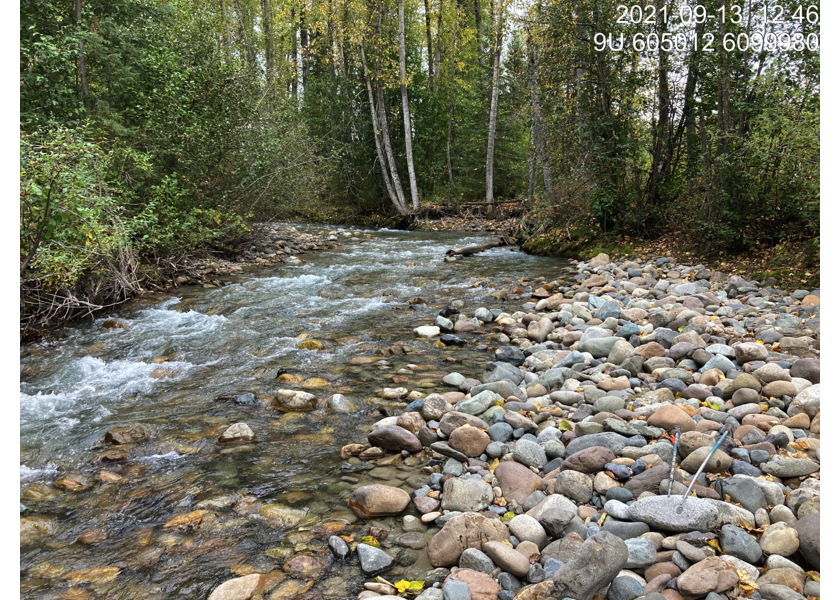 Typical habitat upstream of PSCIS crossing 197960.