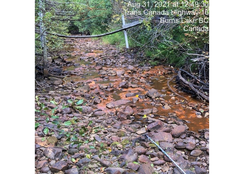 Habitat downstream of PSCIS crossing 197967.